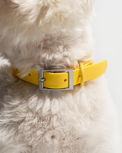 Sano Durable Dog Collar - All-Weather & Odor-Resistant Collar
