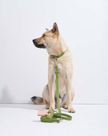 Sano Durable Dog Collar - All-Weather & Odor-Resistant Collar