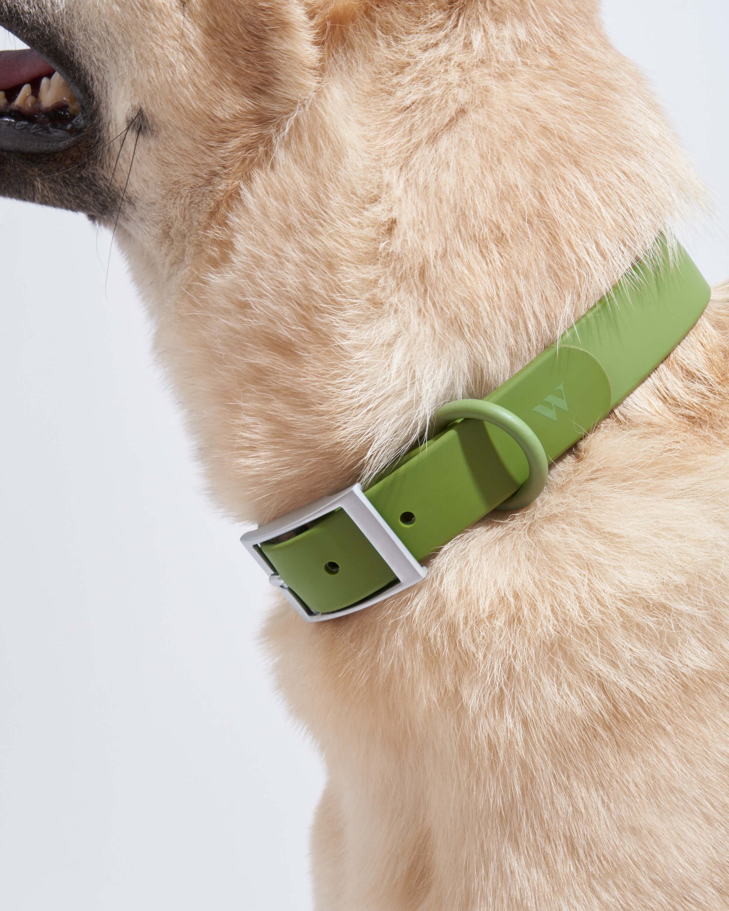 Sano Durable Dog Collar - All-Weather & Odor-Resistant Collar