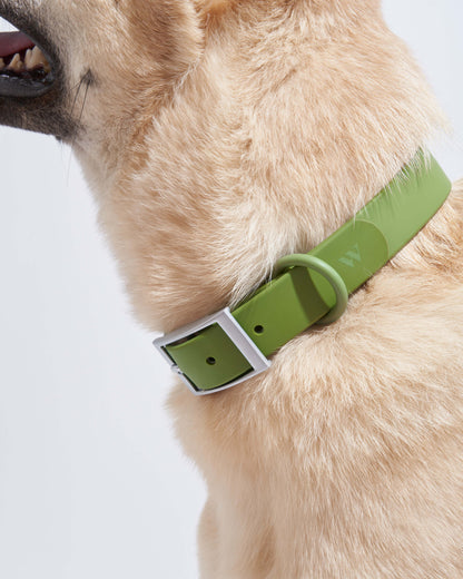 Sano Durable Dog Collar - All-Weather & Odor-Resistant Collar