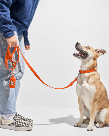 Sano Durable Dog Collar - All-Weather & Odor-Resistant Collar
