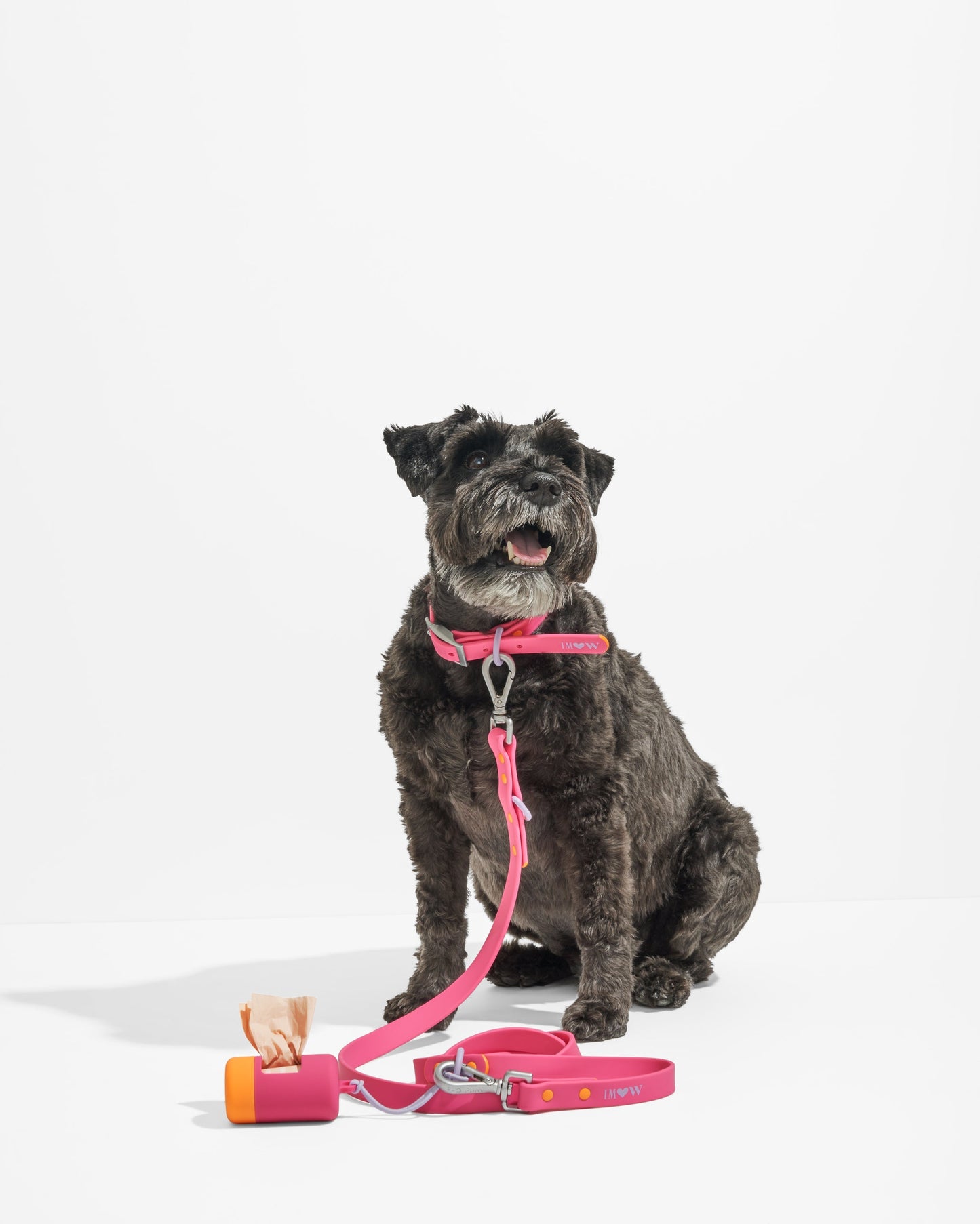 Sano Durable Dog Collar - All-Weather & Odor-Resistant Collar