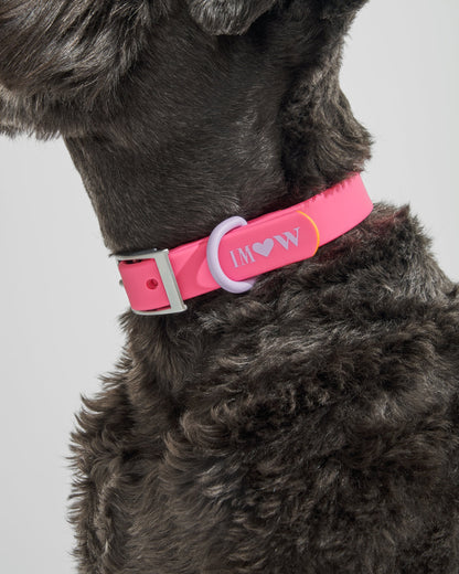 Sano Durable Dog Collar - All-Weather & Odor-Resistant Collar