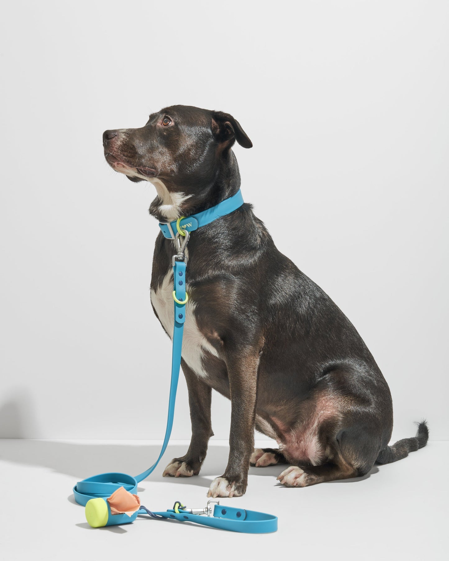 Sano Durable Dog Collar - All-Weather & Odor-Resistant Collar