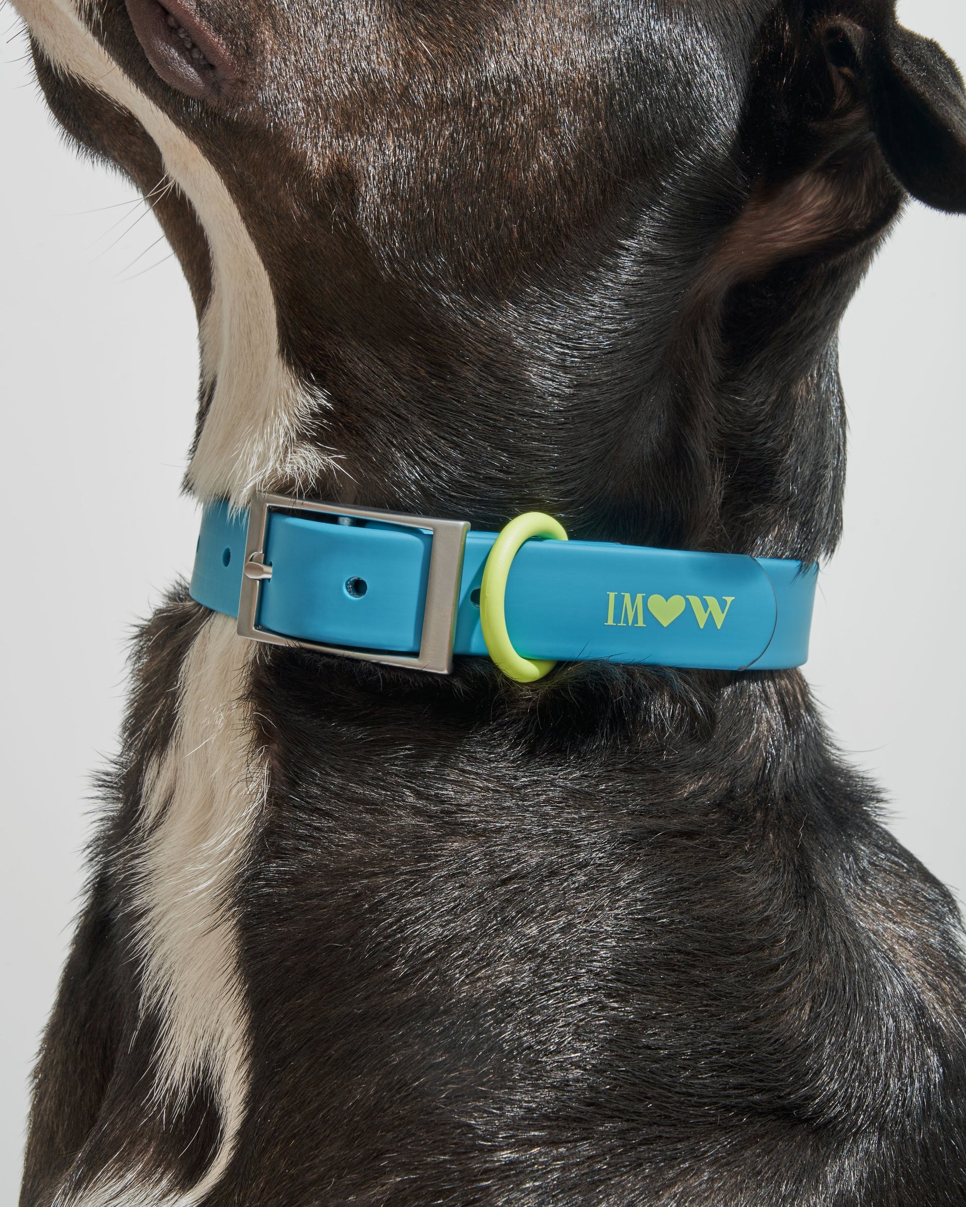 Sano Durable Dog Collar - All-Weather & Odor-Resistant Collar