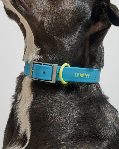 Sano Durable Dog Collar - All-Weather & Odor-Resistant Collar