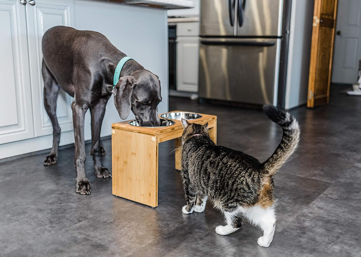 Sira Dog Bowl Stand — dual bowl design