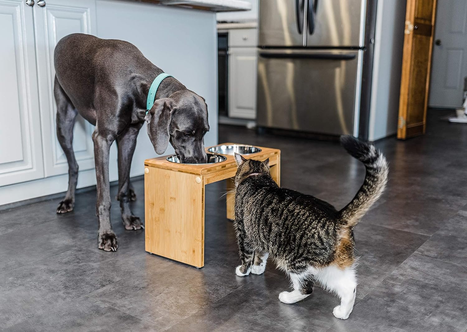 Sira Dog Bowl Stand — dual bowl design