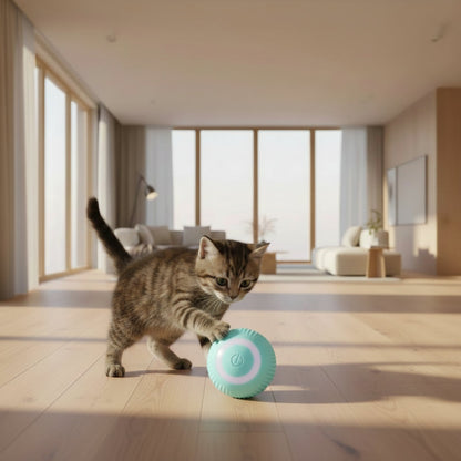 Sora Cat Ball Toy — electric automatic movement
