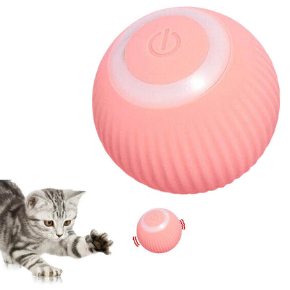 Sora Cat Ball Toy — stimulates natural hunting behaviour