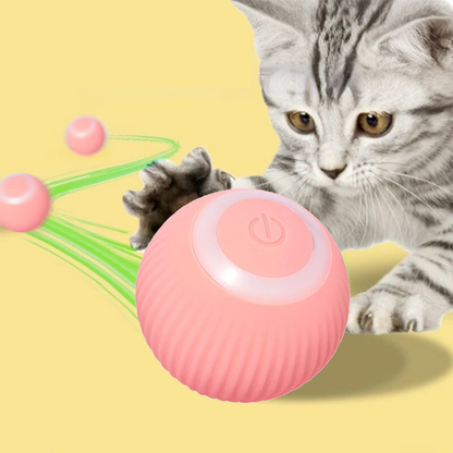Sora Cat Ball Toy — premium pet-safe non-toxic materials