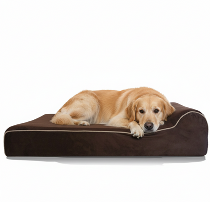 Valeo Waterproof Memory Foam Dog Bed — built specifically for larger dogs and powerful breeds